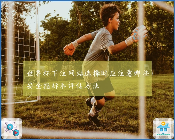 世界杯下注网站选择时应注意哪些安全指标和评估方法