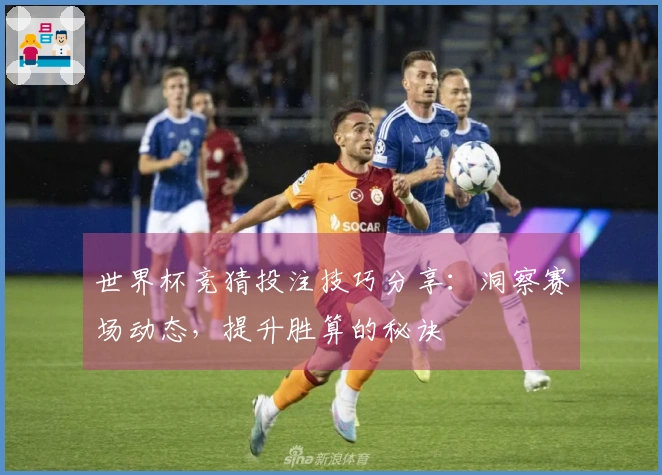 世界杯竞猜投注技巧分享：洞察赛场动态，提升胜算的秘诀
