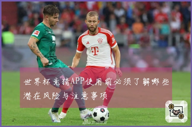 世界杯竞猜APP使用前必须了解哪些潜在风险与注意事项
