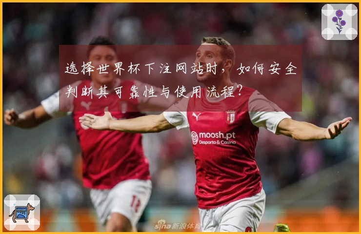 选择世界杯下注网站时，如何安全判断其可靠性与使用流程？