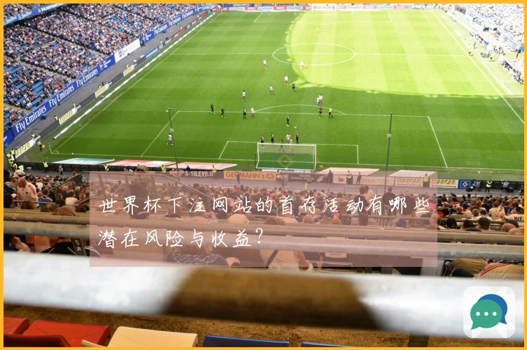 世界杯下注网站的首存活动有哪些潜在风险与收益？